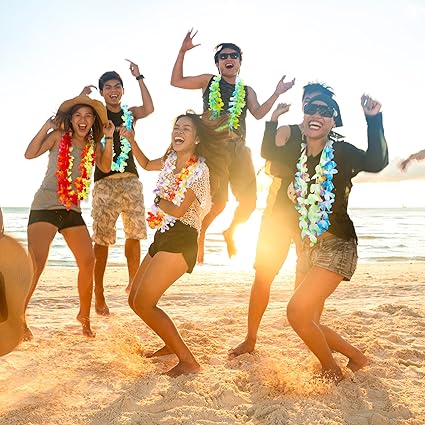 Leis (24 Pieces)
