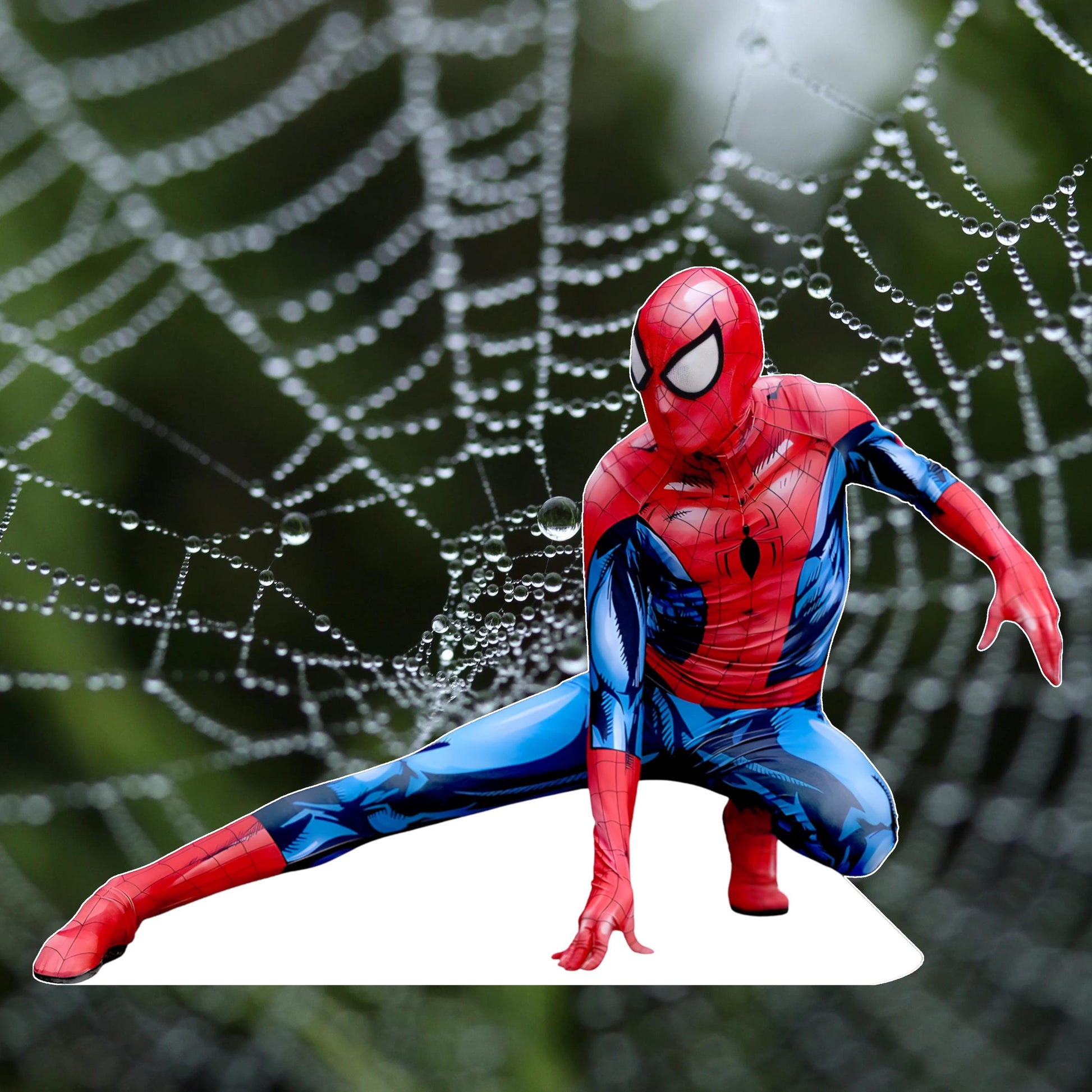 Spiderman - Movie Characters Cardboard Cutout, Stand Up Prop, Waterproof, Corrugated Plastic, Support Included, Multi-Size Options - Style-2