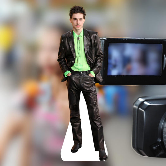 Timothee - Life size cutouts, celebrity cutouts, custom cutouts, star cutouts, and fan cutouts, waterproof - Chalamet